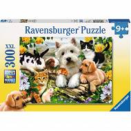 Ravensburger - Szczęśliwe zwierzęta 300 elem. 131600