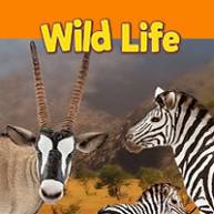 Schleich - Wild Life