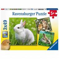 Ravensburger - Puzzle Rozkoszne króliczki 3 x 49 el. 080410
