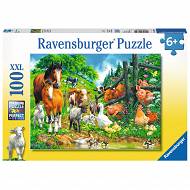 Ravensburger - Puzzle Zwierzęta razem 100 elem. 106899