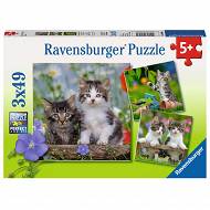 Ravensburger - Puzzle Kocięta  3 x 49 elem. 080465