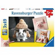 Ravensburger - Puzzle Śmieszne portrety zwierząt 3 x 49 elem. 080281
