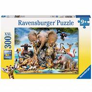 Ravensburger - Puzzle Afrykańscy przyjaciele 300 elem. 130757