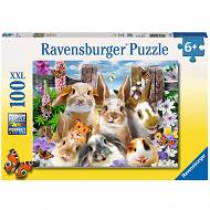 Ravensburger - Puzzle Królicze selfie XXL 100elem. 109494