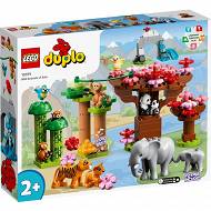 LEGO DUPLO - Dzikie zwierzęta Azji 10974