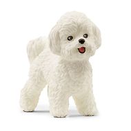 Schleich  Pies rasy bichon frise 13963