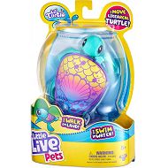 Little Live Pets - Interaktywny Żółwik Shellsea Turtle 26350