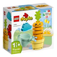 LEGO DUPLO - Rosnąca marchewka 10981