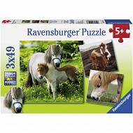 Ravensburger - Puzzle Kucyki 3 x 49 elem. 094288