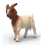 Schleich Farm World Koza burska 14929