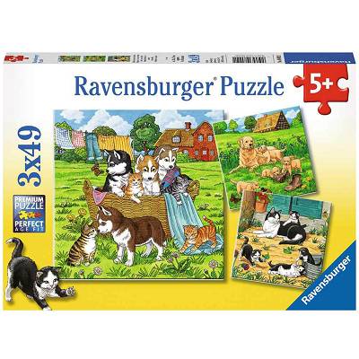 Ravensburger - Puzzle Słodkie pieski i kotki  3 x 49 elem. 080021
