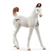 Schleich Horse Club Źrebię marwari 14896