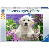 Ravensburger - Słodki Golden Retriver 500 elem. 148295