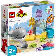 LEGO DUPLO - Dzikie zwierzęta oceanów 10972
