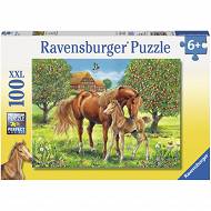 Ravensburger - Puzzle Konie na pastwisku 100 el. 105779