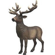 Schleich Wild Life Jeleń amerykański 14992