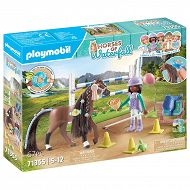 Playmobil 71357 Cavalos da Cachoeira - Farrier Ben e Aquiles, cuidados