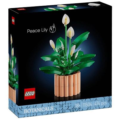 LEGO Botanicals - Skrzydłokwiat 11504
