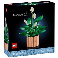 LEGO Icons Botanical Mała orchidea 10343