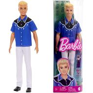 Barbie Fashionistas - Modny Ken 226 HRH25