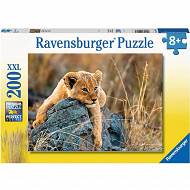 Ravensburger - Puzzle Mały lew 200 elem. 129461