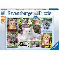 Ravensburger - Puzzle Kotek w Koszyku 500 elem. 141968