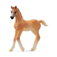 Schleich Horse Club Źrebię Czystej Krwi Arabskiej 13984